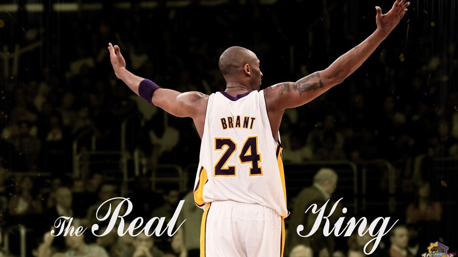 深圳队速胜雄鹿，克莱成为关键先生